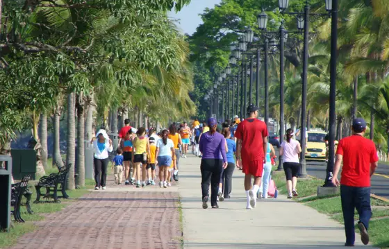 Tree-lined promenade along the Amador Causeway, Panama City