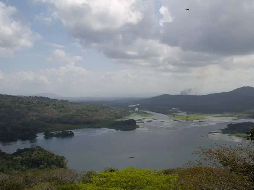 Gamboa rainforest, Panama