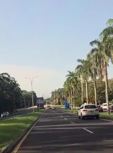 Palm-lined road out to the airport