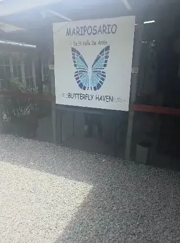 El Valle's butterfly haven
